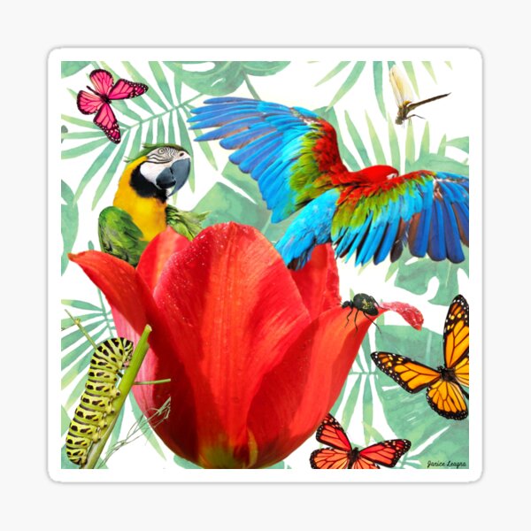 Parrot Surprise Sticker