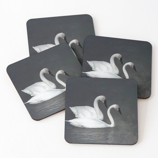 Item preview, Trumpeter Swans @ Tagish Lake designed and sold by Yukondick.