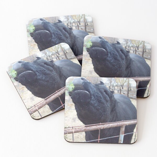 Item preview, Oh Joy! designed and sold by JobieMom.