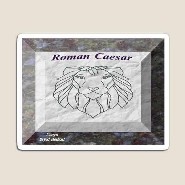 My profession is an advertising designer Magnet