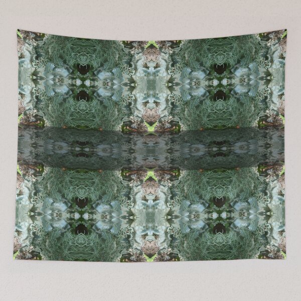 Item preview, Moss Reflections In Lock Down 05/01/20 20:22 designed and sold by Mark Polk.
