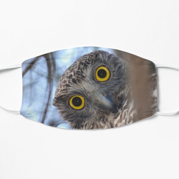 Curious Australian Powerful Owl Mask