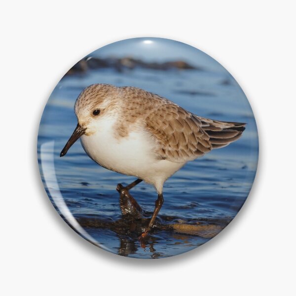 Item preview, A Strolling Sanderling on the Winter Beach designed and sold by walkswithnature.