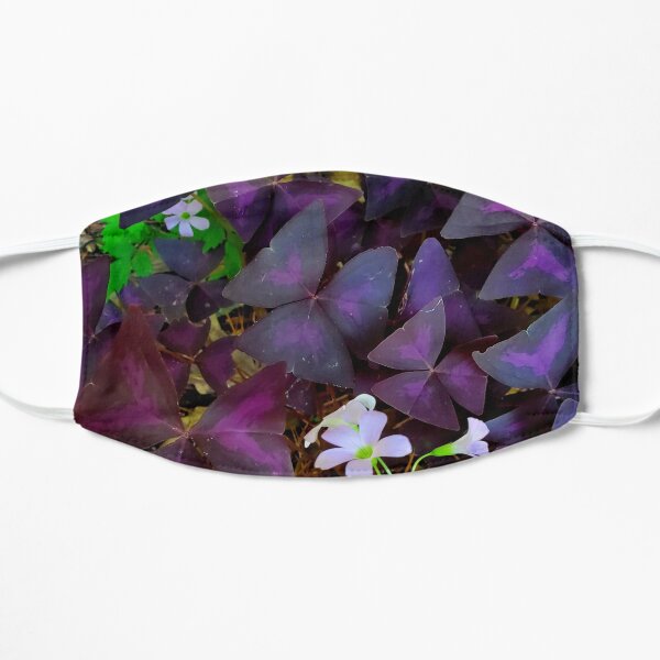 Purple Merlot clover Flat Mask