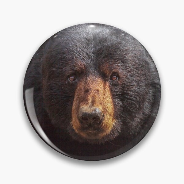 Item preview, Black Bear designed and sold by Eunice Gibb.