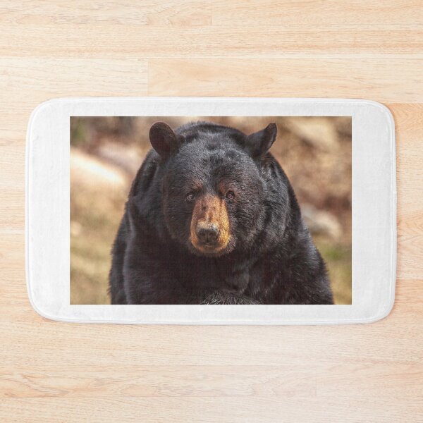 Item preview, Black Bear designed and sold by Eunice Gibb.