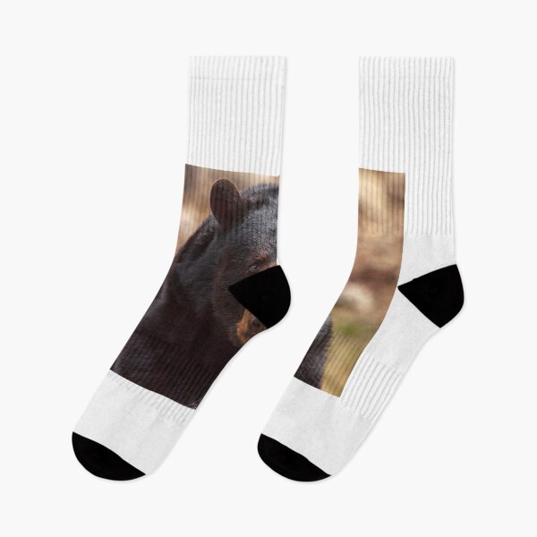 Item preview, Black Bear designed and sold by Eunice Gibb.