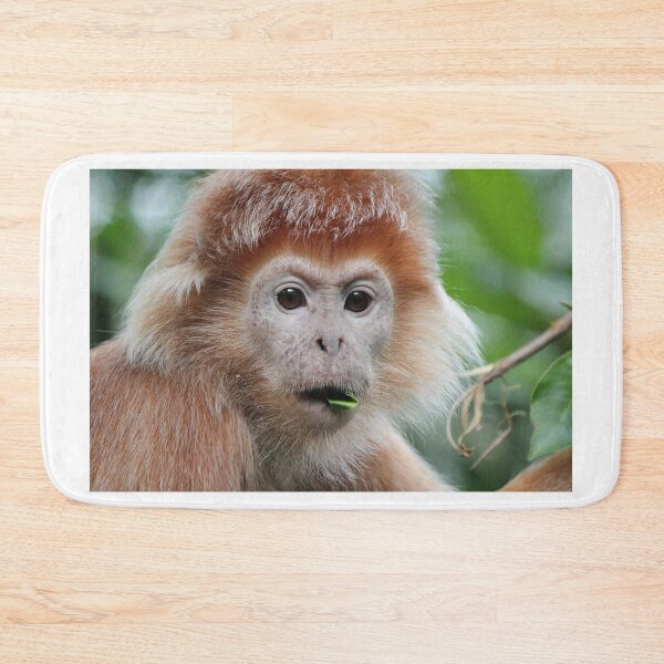 Item preview, Are You Serious? designed and sold by LeanneAllen.