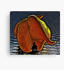 Pokemon Canvas Print