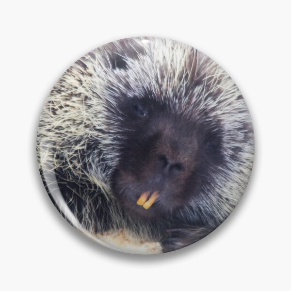 Item preview, Common Porcupine designed and sold by Alyce Taylor.