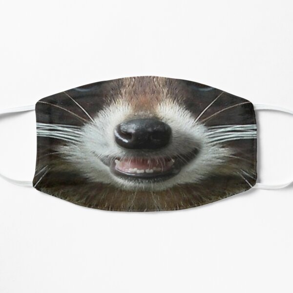 Raccoon Face Masks Redbubble   Ur,mask Flatlay Front,product,600x600 