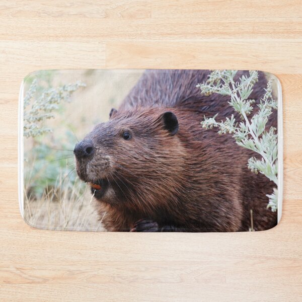 Item preview, North American Beaver designed and sold by Alyce Taylor.