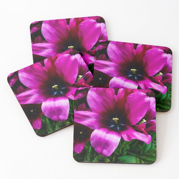 Item preview, Galaxy in a Flower designed and sold by Goosebumps90.