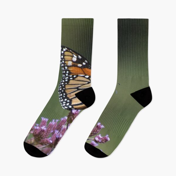 Item preview, Monarch on the purple flower designed and sold by lizdomett.