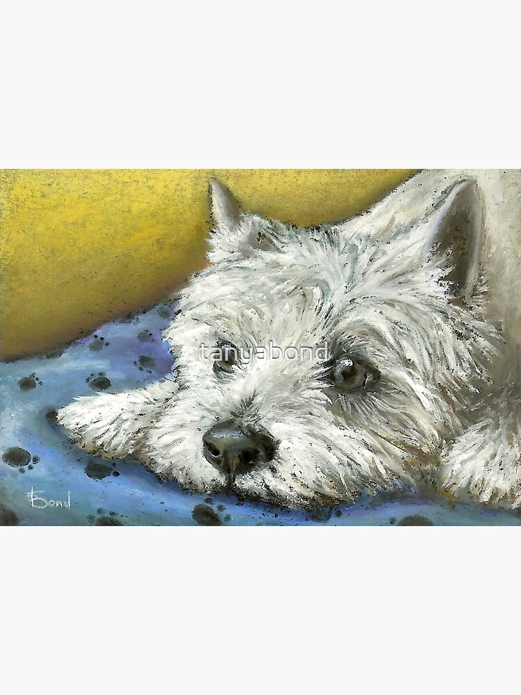 Daydreaming Westie by tanyabond
