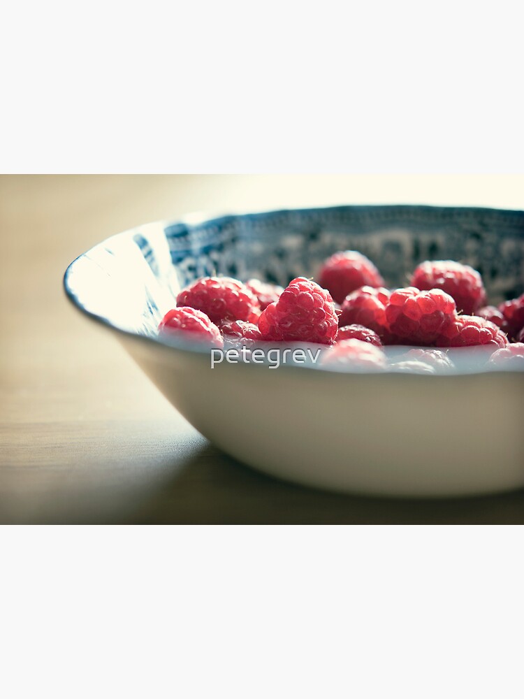 Day 292 - 27th April 2012 by petegrev