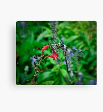 Color Burst Canvas Print