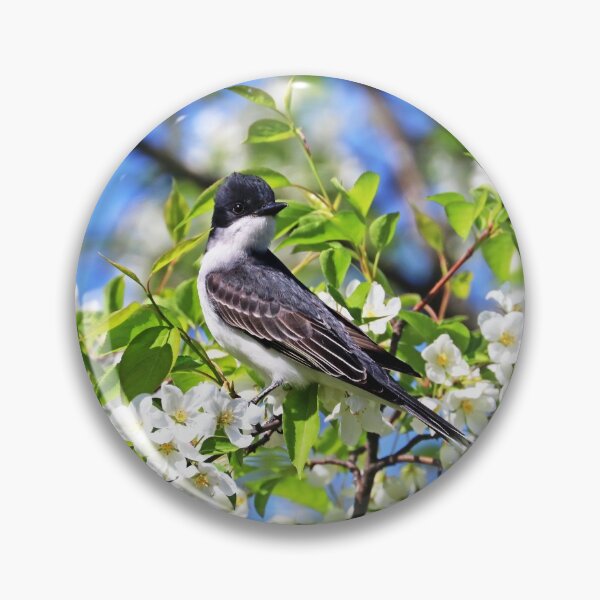 Item preview, Eastern Kingbird And White Blossoms designed and sold by Deb Oppermann.