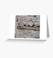Hello There Greeting Card