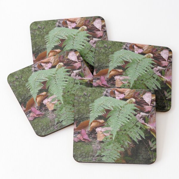 Item preview, Ferns at Rondel State Park designed and sold by circa24.
