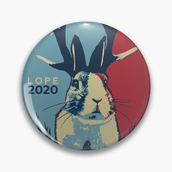 LOPE 2020 Pin
