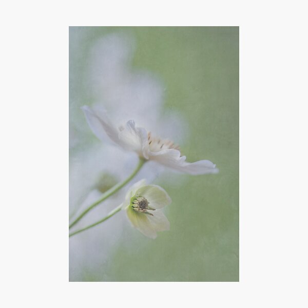 Item preview, spring delight designed and sold by Maria Ismanah Schulze-Vorberg.