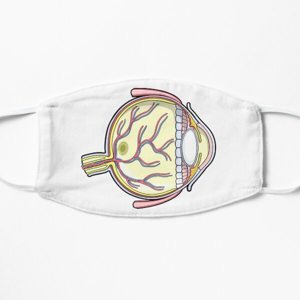 Human Eye Anatomy Illustration Mask