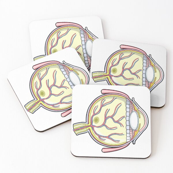 Human Eye Anatomy Illustration Coasters (Set of 4)