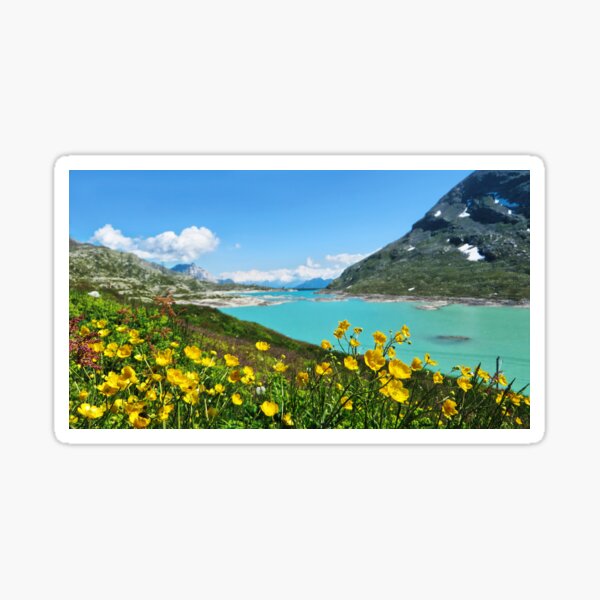 Buttercups am Berninapass - Graubünden - die Schweiz Sticker