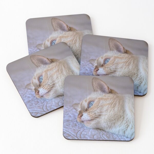 Item preview, Bored Flame Point Siamese Cat designed and sold by Elisabeth Lucas.