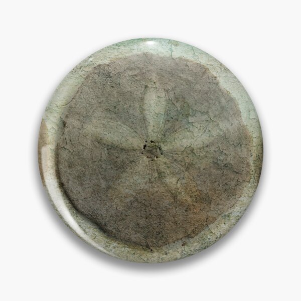 Artikelvorschau, 3 Sanddollars entworfen und verkauft von Barbara Ingersoll.