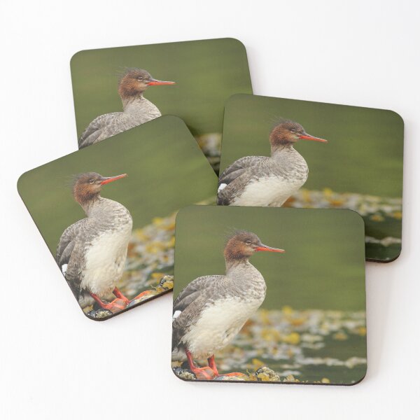 Item preview, Water Off A Ducks Back designed and sold by CBoyle.