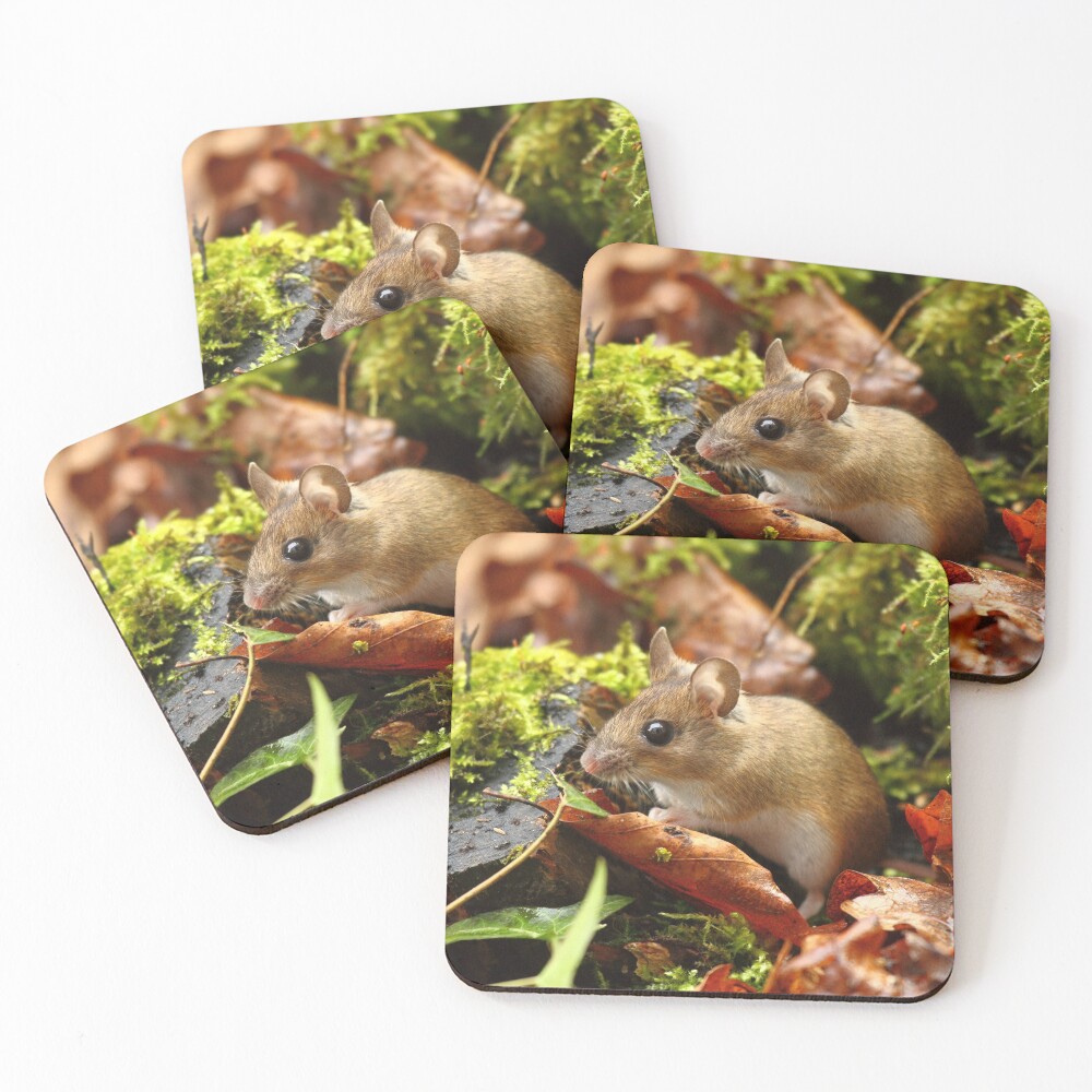 Item preview, Coasters (Set of 4) designed and sold by CBoyle.