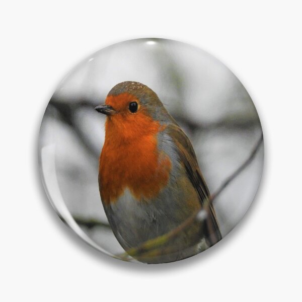 Item preview, Little Robin designed and sold by RoseBumblebee.