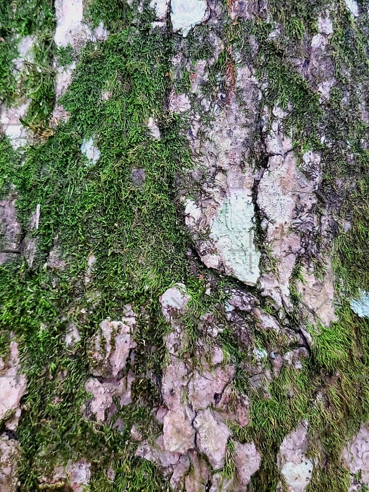 Mossy tree Classy Camo by dreamie09