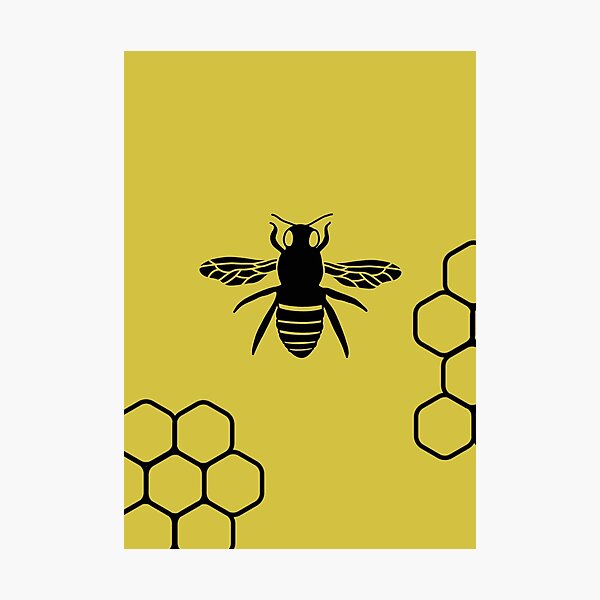 Queen bee and honeycomb Photographic Print