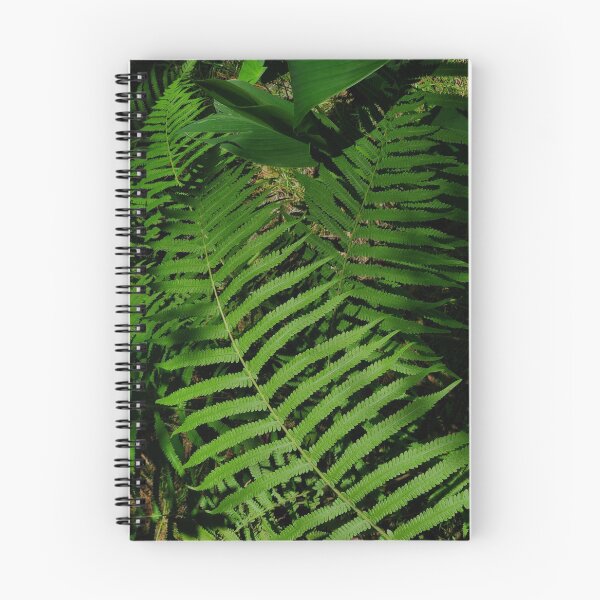 Item preview, Sword Fern Classy Camo designed and sold by dreamie09.