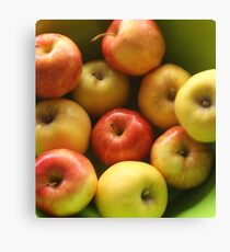 Ten Apples (still life) Canvas Print