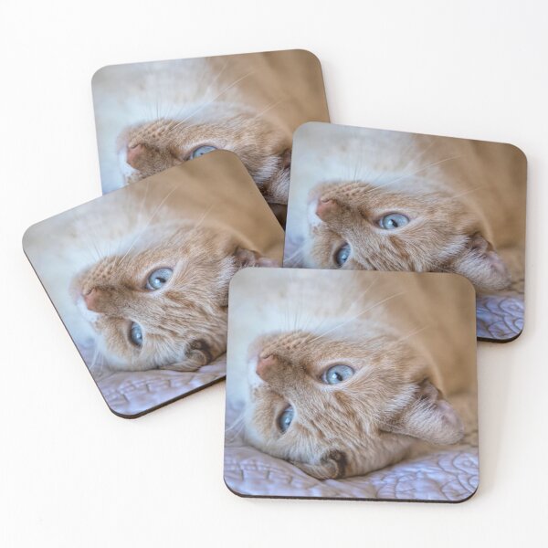 Item preview, Cherished Siamese Cat designed and sold by Elisabeth Lucas.