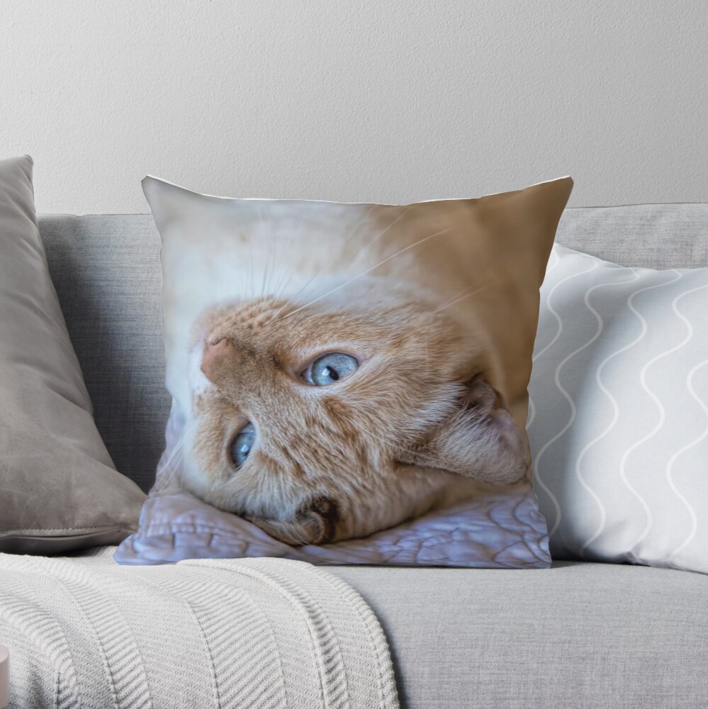 siamese cat pillow