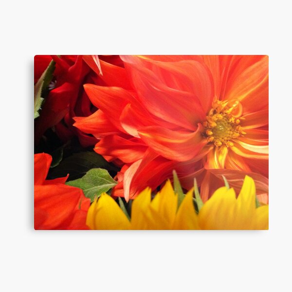 Dahlia Metal Print