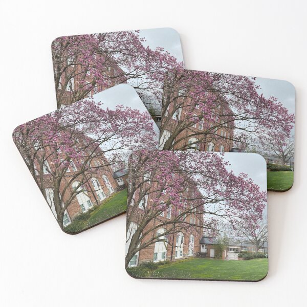 Item preview, Converse College Dexter Hall designed and sold by Delaneymaybe.