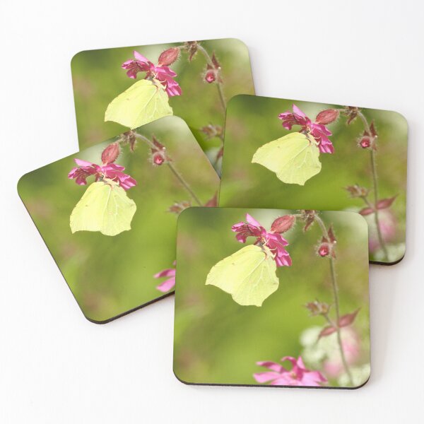Item preview, The Wings Of Spring designed and sold by CBoyle.