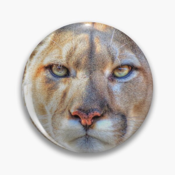 Artikelvorschau, Puma entworfen und verkauft von shutterbug2010.