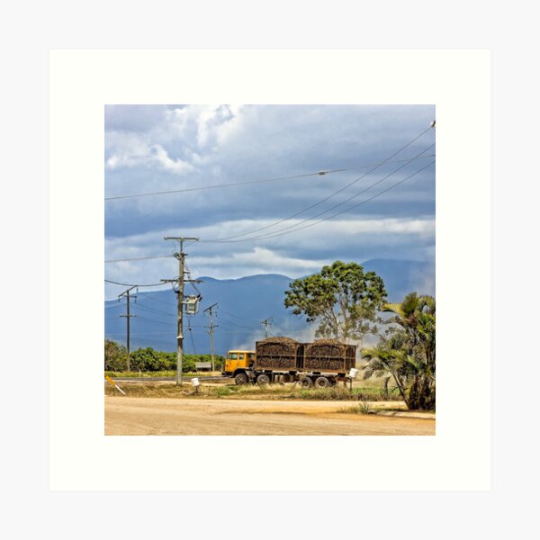 Item preview, Hauling sugar cane on a truck designed and sold by hereswendy.