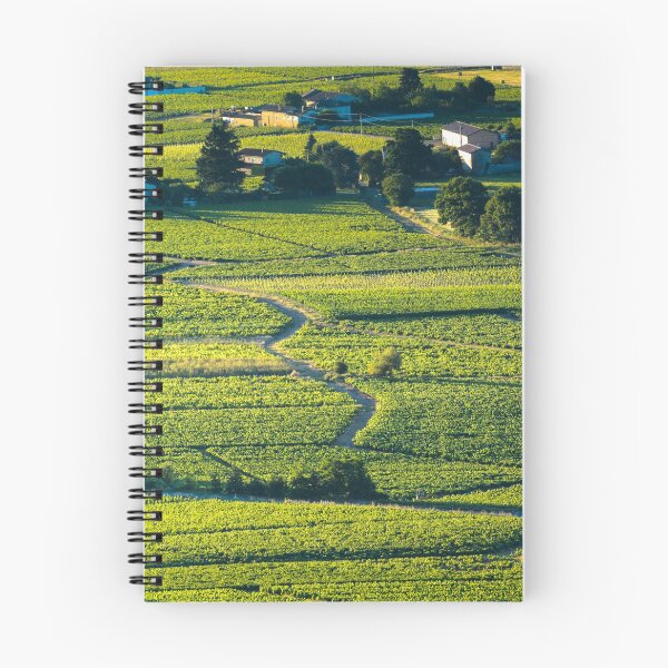 Item preview, Vineyards of Beaujolais at sunrise designed and sold by Gaël FONTAINE.
