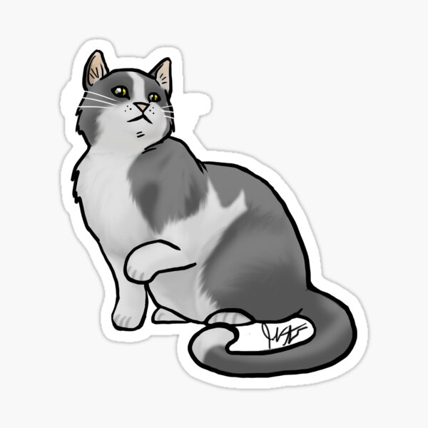 Big Black and White Cat Sticker