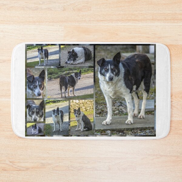 Item preview, Dog Collage (None Sterile) Mask designed and sold by Sandra Cockayne.