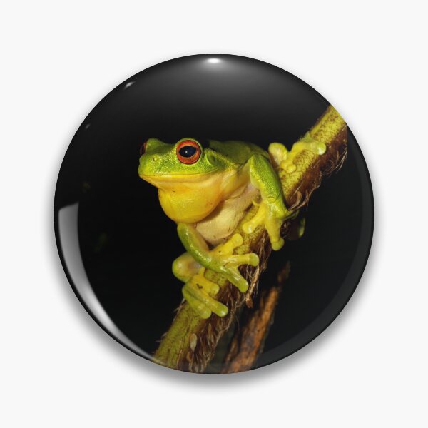 Item preview, Red Eyed Tree Frog - Litoria chloris designed and sold by Rob Price.