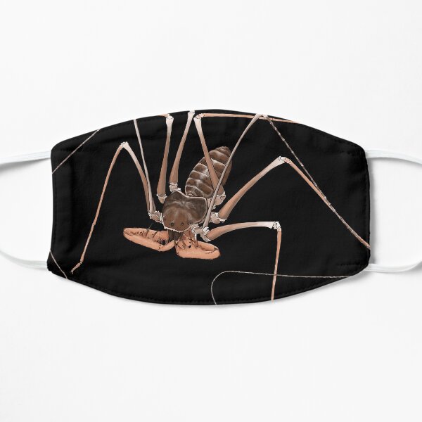 Acanthophrynus coronatus whip spider portrait Mask